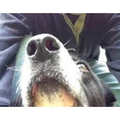 Ian Rawley's photo