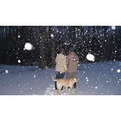 Christy Pearson's photo
