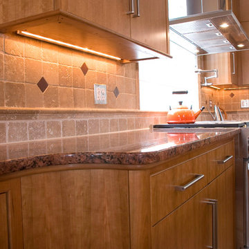 CONTEMPORARY KITCHEN EXCELLENCE