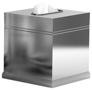 Nu Steel Mercury Glass Boutique Tissue Box Cover Contemporary Tissue Box Holders By Tatara Houzz