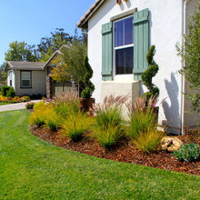 Neatness of grasses