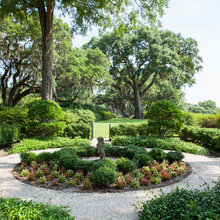 Garden plants