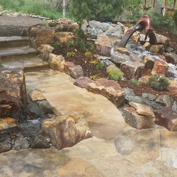 A Foxy Colorado Stream