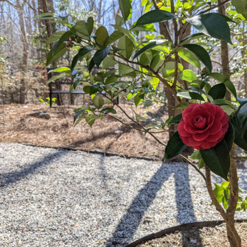 Woodland Garden in Colonial Williamsburg, VA