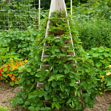 The Complete Kitchen Garden Designs