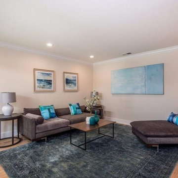 Willow Glen Full-Home Renovation