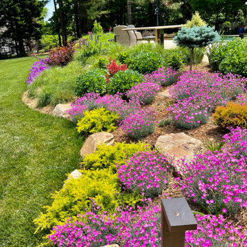 Immersive Color Garden