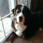 Tammy LaBreck's photo