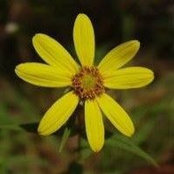 Jacqueline Bass's photo