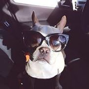 Jane Bravo's photo