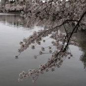 Amy Crouch's photo