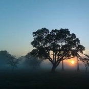 Carol Lent's photo
