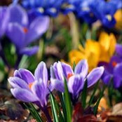 Joan Leffel's photo
