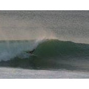 Rob Robertson's photo