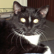Nancy Bawolek's photo