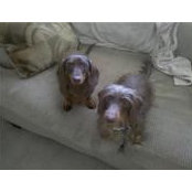 Diana Nims's photo