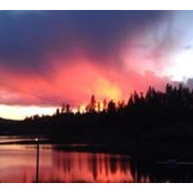 Jared Schock's photo