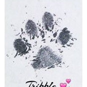 Carla Boyd's photo