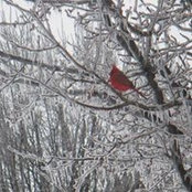 Kimberly Wenzel's photo