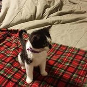 Foto de Mary McDaniel
