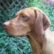 Jennifer LaBrecque's photo