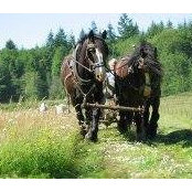 Gordon Misch's photo