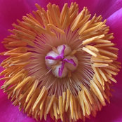 Todd Gareiss's photo