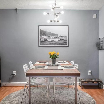 Interior Redesign and Renovations - Modern Condo on Commonwealth Ave, Boston, MA