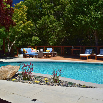 Backyard Pool Deck in San Rafael
