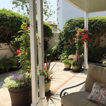 Patio with flowers, vines and trees.