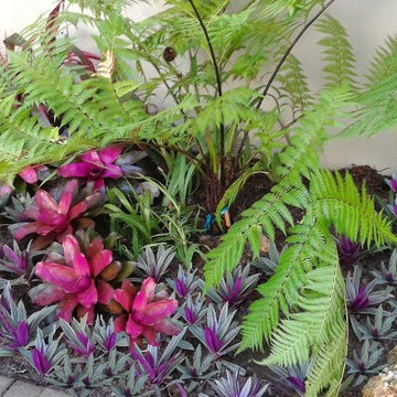 The wonders of the rainforest