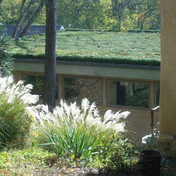 Noll St. Strawbale