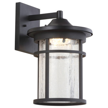 Campo Outdoor Wall Lantern Glass/Metal Integrated Sconce, Black, Width: 9"