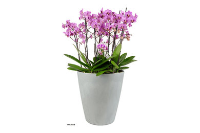 Pot de fleur connecté pour orchidées