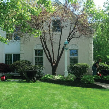 Walpole Installations