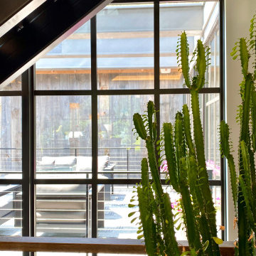 Montana Modern