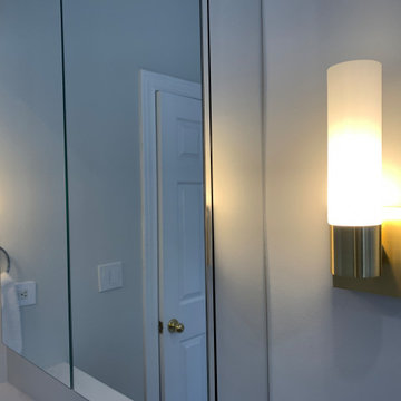Modernized Lakeview Bathroom