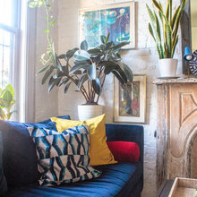 Indoor House plants