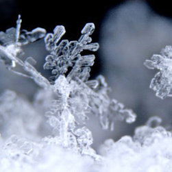 Micro Snowflake Photograph From Yutaka Snow Studio by Yutaka Sone - Sculptures