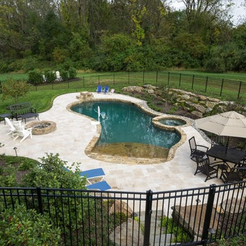Free Form Pool with Spa