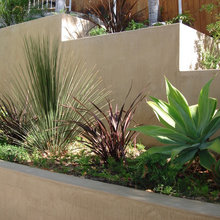 Wall & Plants