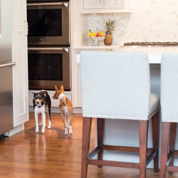 Elegance and a modern twist in Needham Kitchen.