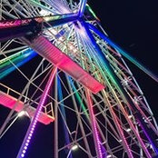Amy Fulk's photo