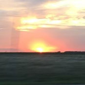 Sue Podoll's photo