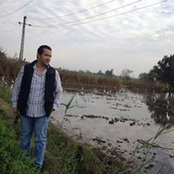 Foto von Sameh Salah