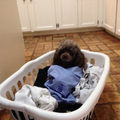 Kim Jardine's photo