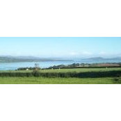 Celia O Donnell's photo