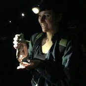 Lisa Langs foto