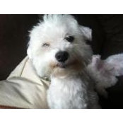 Elizabeth Greer's photo