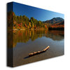 'The Adirondack Driftwood' Canvas Art by Nicole Dietz